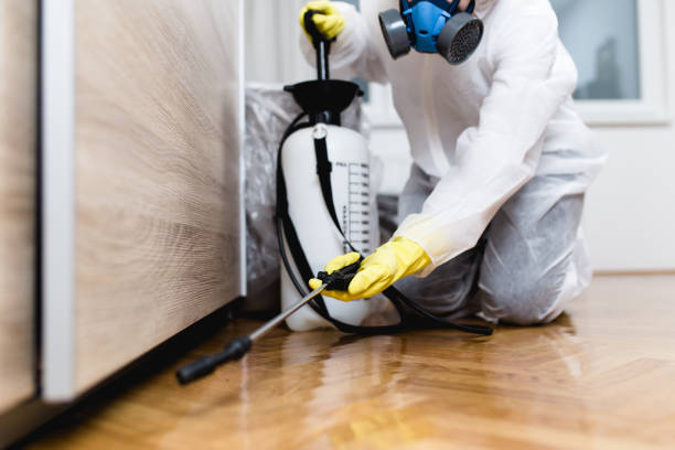 Best Affordable Pest Control Services  in Kenworth, IL
