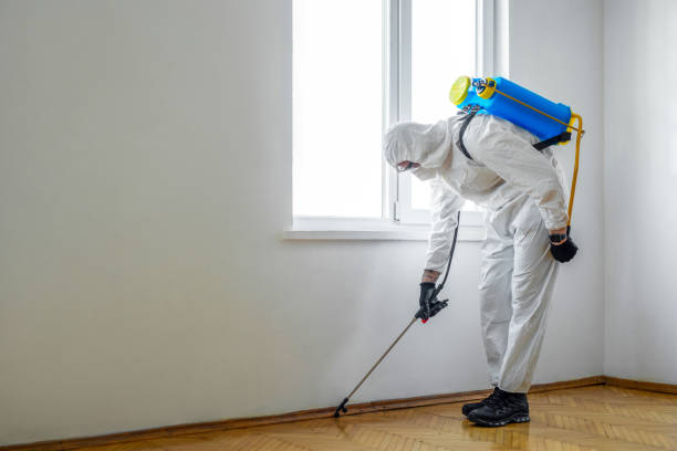 Wildlife Control Services in Kenilworth, IL