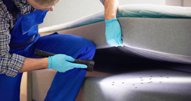 Best Pest Control Treatment  in Kenworth, IL