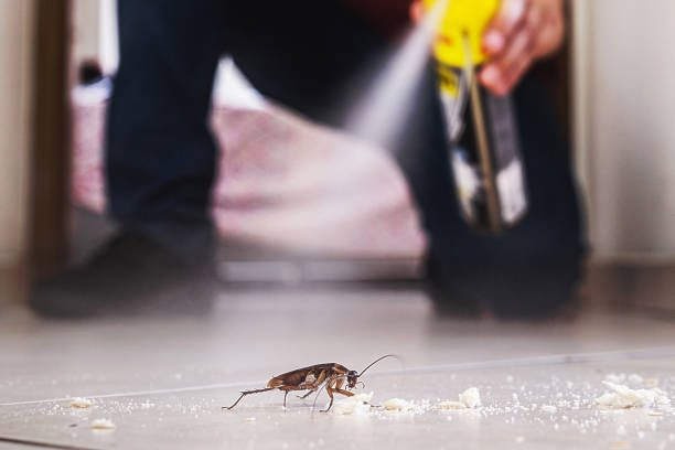 Pest Control for Restaurants in Kenilworth, IL